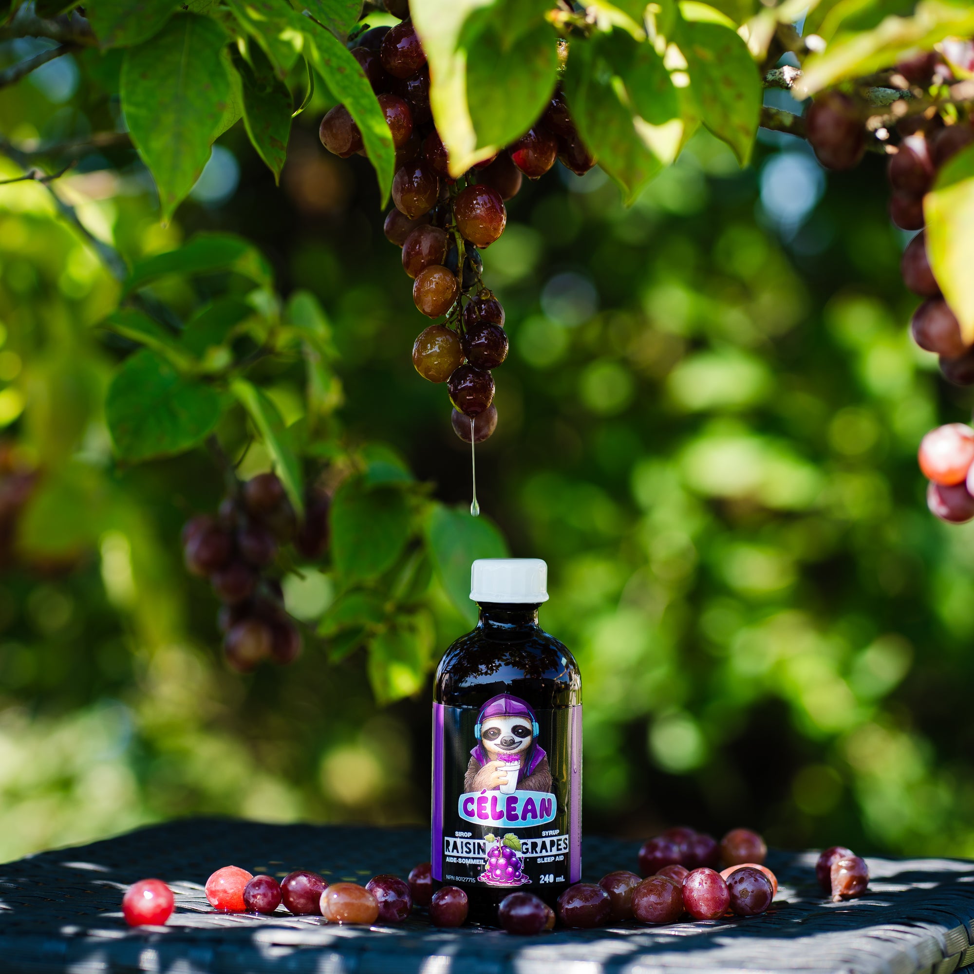 Pack Douce Nuit – 6 Bouteilles Raisin Classique